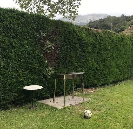 Alicia * Valle (Ruesga)